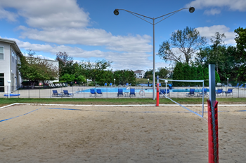 Volleyball court